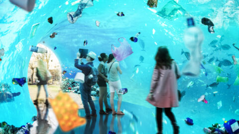 Plastic Wave